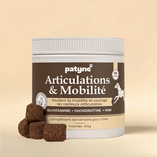 Articulations & mobilité - Patyne